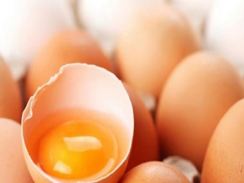 Manfaat Telur Untuk Kesehatan Tulang