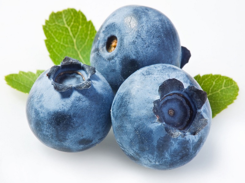 Dibalik Manfaat Blueberry Untuk Diet Hingga Gangguan Otak